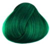 APPLE GREEN (DIRECTIONS HAIR COLORS)